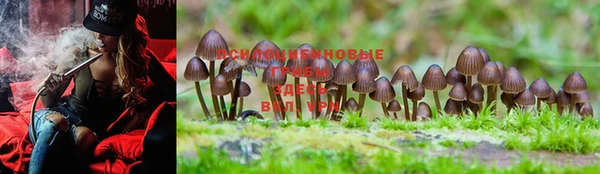 MESCALINE Краснослободск