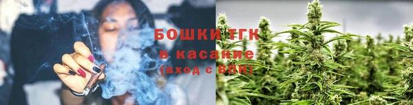 каннабис Корсаков