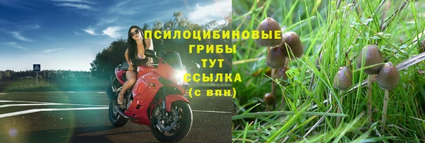 бошки Красноперекопск
