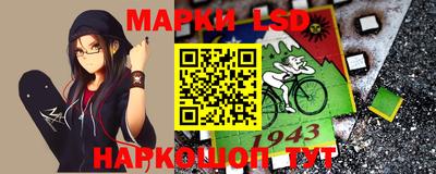 СК Кандалакша