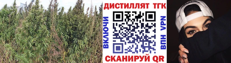 где купить наркотик  Сосновоборск  Дистиллят ТГК жижа 