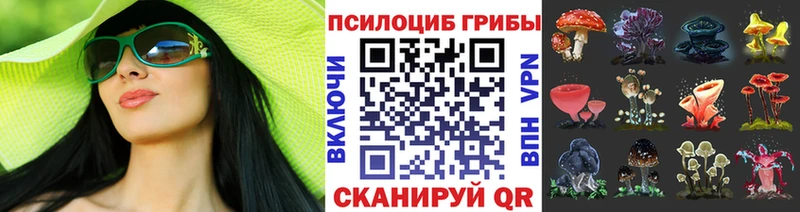мориарти формула  Сосновоборск  Галлюциногенные грибы GOLDEN TEACHER 