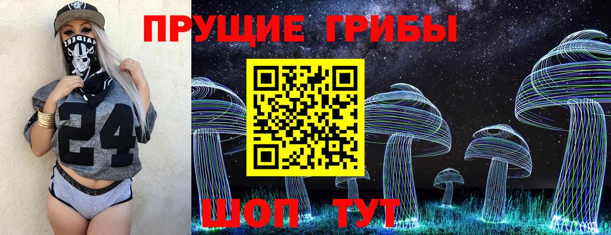Галлюциногенные грибы Psilocybe  наркошоп  Сосновоборск 