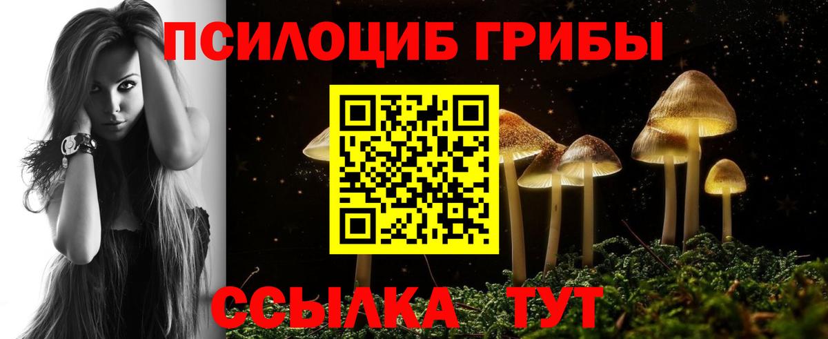 Сосновоборск  Галлюциногенные грибы GOLDEN TEACHER  Вход с VPN 