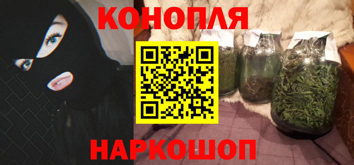 Конопля план  Канабис SATIVA & INDICA  Сосновоборск  Бошки Шишки индика  Бошки марихуана сатива 